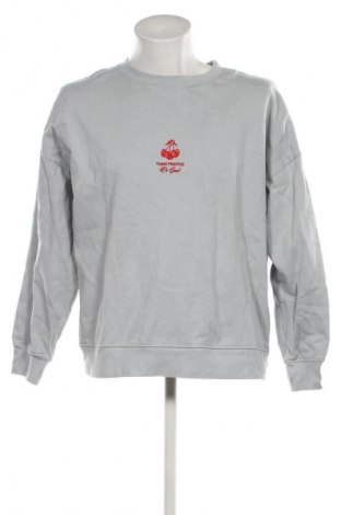 Мъжка блуза Bpc Bonprix Collection, Размер L, Цвят Сив, Цена 35,99 лв.