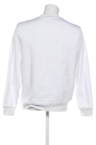 Ανδρική μπλούζα Lacoste, Μέγεθος L, Χρώμα Λευκό, Τιμή 45,99 €