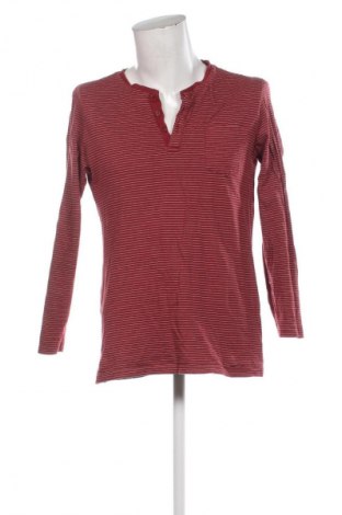 Мъжка блуза Livergy, Размер L, Цвят Многоцветен, Цена 19,99 лв.