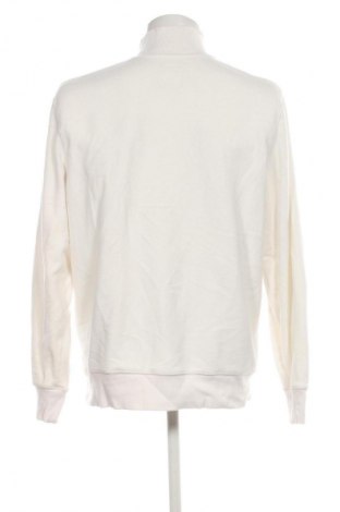 Herren Shirt Tom Tailor, Größe XL, Farbe Ecru, Preis € 16,99