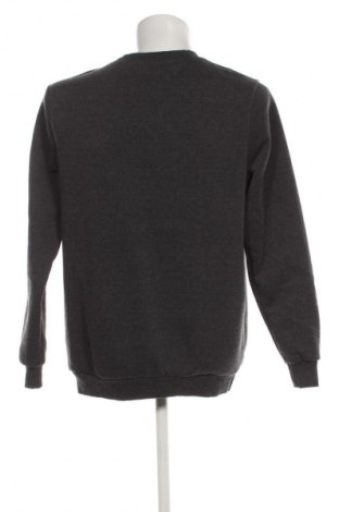 Herren Shirt Unbranded, Größe L, Farbe Grau, Preis 9,72 €