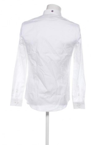 Męska koszula Calvin Klein, Rozmiar S, Kolor Biały, Cena 242,99 zł