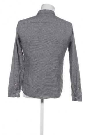 Herrenhemd Colin's, Größe M, Farbe Mehrfarbig, Preis € 11,99