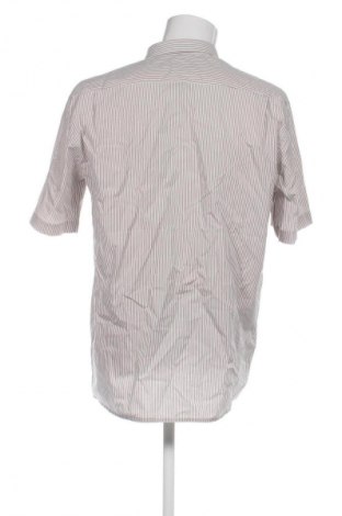 Herrenhemd Seidensticker, Größe L, Farbe Mehrfarbig, Preis 17,00 €