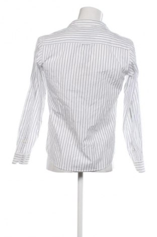 Мъжка риза Springfield, Размер M, Цвят Многоцветен, Цена 32,99 лв.