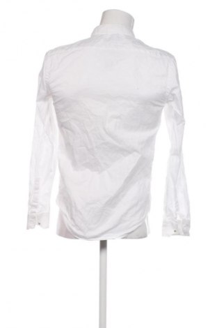Мъжка риза Zara, Размер M, Цвят Бял, Цена 34,00 лв.