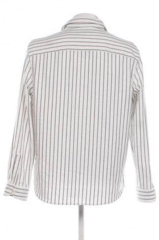 Herrenhemd Zara, Größe XL, Farbe Mehrfarbig, Preis € 5,99