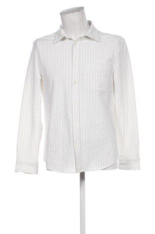 Herrenhemd Zara, Größe L, Farbe Mehrfarbig, Preis € 17,99