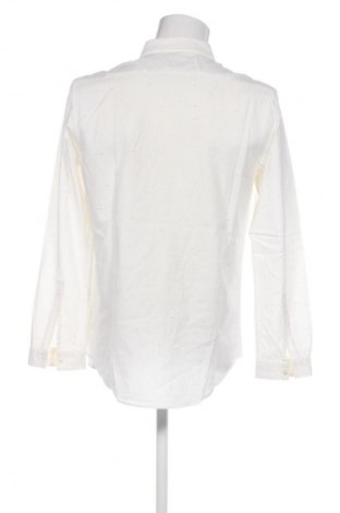 Herrenhemd Zara, Größe XL, Farbe Mehrfarbig, Preis € 17,39