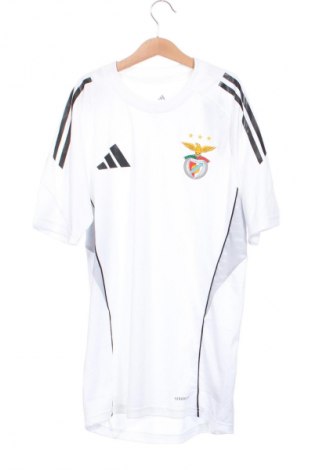 Herren T-Shirt Adidas, Größe XS, Farbe Weiß, Preis € 30,99