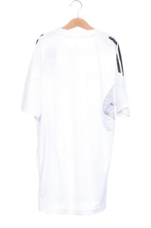 Herren T-Shirt Adidas, Größe XS, Farbe Weiß, Preis € 30,99