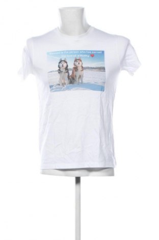 Pánské tričko  Gildan, Velikost M, Barva Bílá, Cena  241,00 Kč