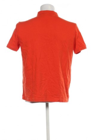 Herren T-Shirt U.S. Polo Assn., Größe XL, Farbe Orange, Preis € 32,99
