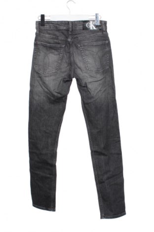 Herren Jeans Calvin Klein Jeans, Größe S, Farbe Grau, Preis 45,99 €