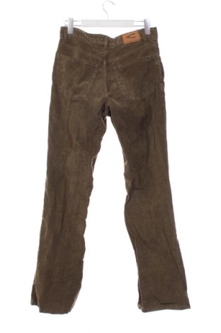 Pánské menčestráky Camel Active, Veľkosť S, Farba Zelená, Cena  22,95 €