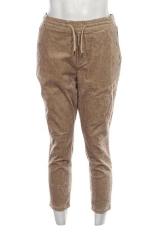 Herren Cordhose Only & Sons, Größe L, Farbe Beige, Preis 12,99 €