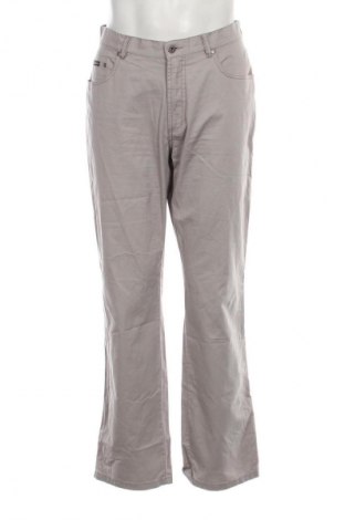 Pantaloni raiați de bărbați Red Point, Mărime L, Culoare Gri, Preț 85,99 Lei