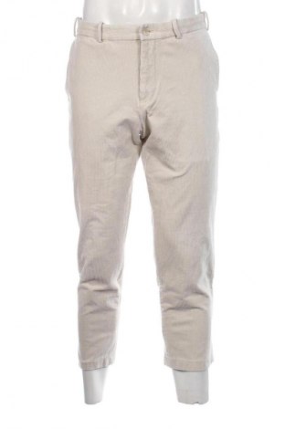 Herren Cordhose Uniqlo, Größe S, Farbe Ecru, Preis 21,99 €