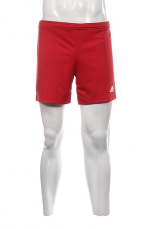 Herren Shorts Adidas, Größe S, Farbe Rot, Preis 16,99 €