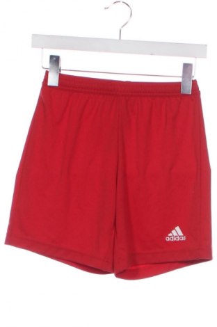 Herren Shorts Adidas, Größe XXS, Farbe Rot, Preis 16,99 €