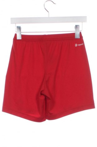 Herren Shorts Adidas, Größe XXS, Farbe Rot, Preis 16,99 €