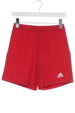 Herren Shorts Adidas, Größe XS, Farbe Rot, Preis 17,99 €