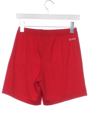 Herren Shorts Adidas, Größe XS, Farbe Rot, Preis 17,99 €