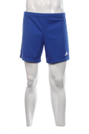Herren Shorts Adidas, Größe M, Farbe Blau, Preis 16,99 €