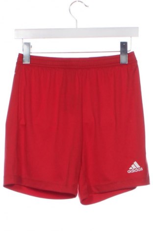 Herren Shorts Adidas, Größe XS, Farbe Rot, Preis 17,99 €