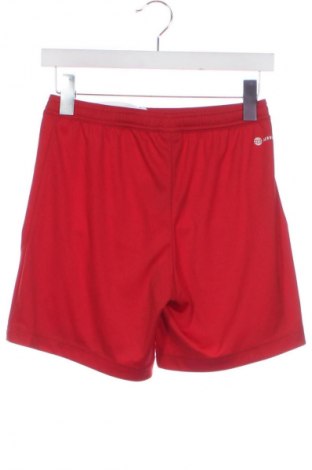 Herren Shorts Adidas, Größe XS, Farbe Rot, Preis 17,99 €
