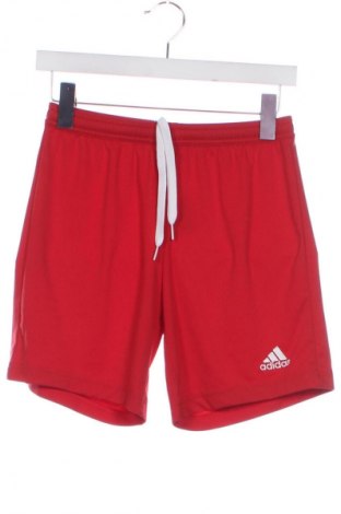 Herren Shorts Adidas, Größe XS, Farbe Rot, Preis 17,99 €