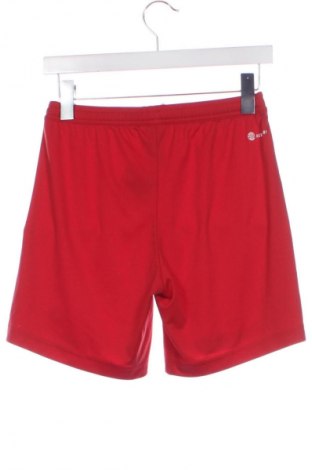 Herren Shorts Adidas, Größe XS, Farbe Rot, Preis 17,99 €