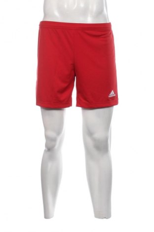 Herren Shorts Adidas, Größe S, Farbe Rot, Preis 17,39 €