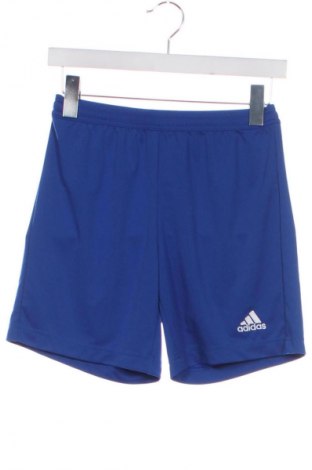 Herren Shorts Adidas, Größe XS, Farbe Blau, Preis 17,99 €
