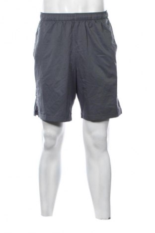 Pánske kraťasy  PUMA, Veľkosť M, Farba Sivá, Cena  22,95 €