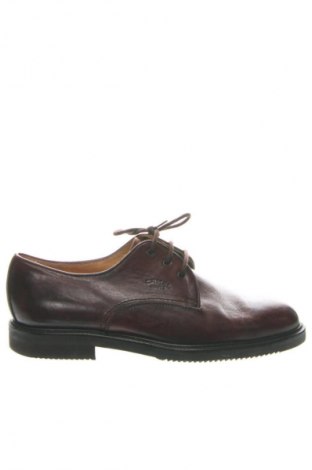 Herrenschuhe Camel, Größe 43, Farbe Braun, Preis € 38,87