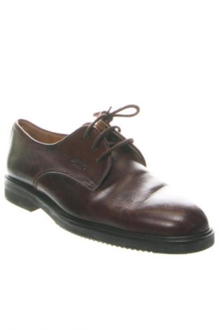 Herrenschuhe Camel, Größe 43, Farbe Braun, Preis € 38,87