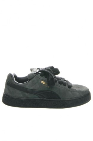 Herrenschuhe PUMA, Größe 43, Farbe Grün, Preis € 137,99