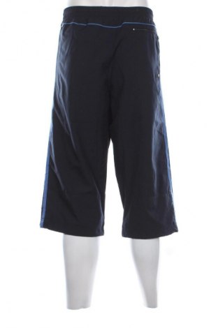 Herrenhose Adidas, Größe L, Farbe Blau, Preis 34,99 €