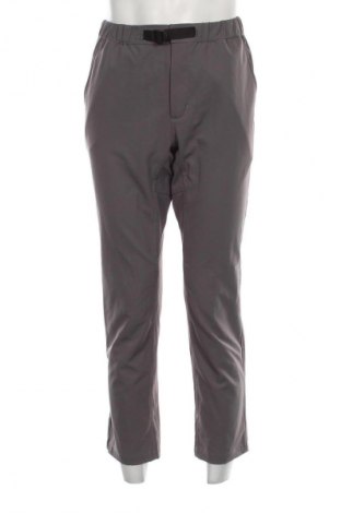 Herrenhose Carhartt, Größe S, Farbe Grau, Preis € 49,99