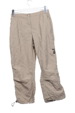 Pánske nohavice  Jack Wolfskin, Veľkosť XS, Farba Béžová, Cena  37,95 €