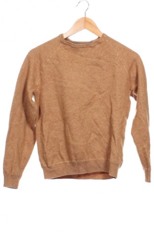 Ανδρικό πουλόβερ Massimo Dutti, Μέγεθος XS, Χρώμα Καφέ, Τιμή 49,99 €