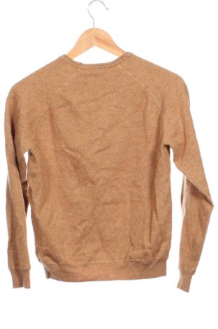 Ανδρικό πουλόβερ Massimo Dutti, Μέγεθος XS, Χρώμα Καφέ, Τιμή 49,99 €