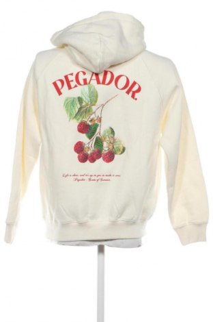 Herren Sweatshirt Pegador, Größe S, Farbe Ecru, Preis 49,99 €