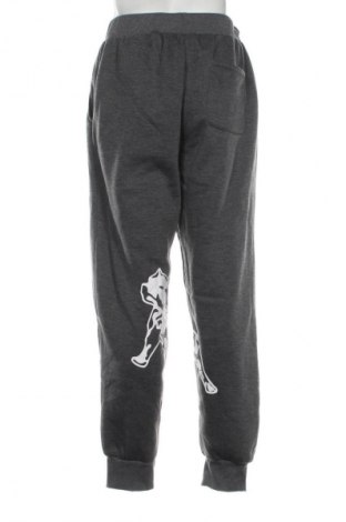 Pánské tepláky  Unbranded, Velikost L, Barva Šedá, Cena  319,00 Kč