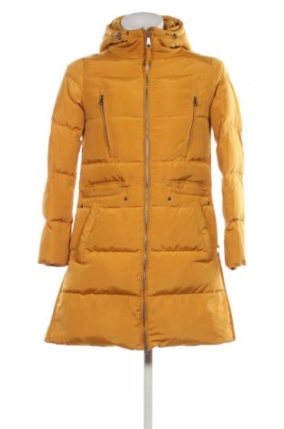 Damenjacke Colin's, Größe S, Farbe Gelb, Preis € 23,99