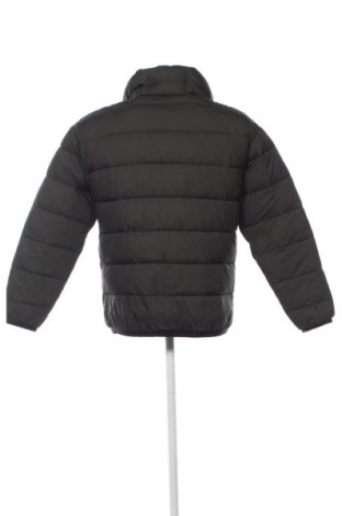 Pánska bunda  Zara, Veľkosť L, Farba Zelená, Cena  24,49 €