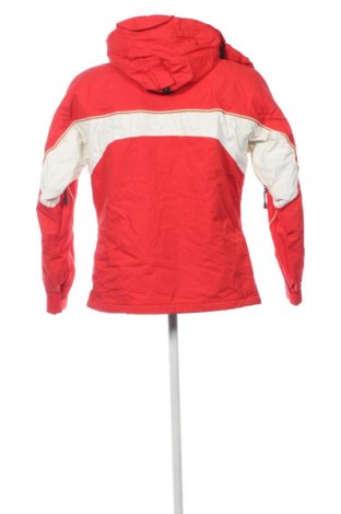 Ανδρικό μπουφάν για χειμερινά σπορ Trespass, Μέγεθος L, Χρώμα Πολύχρωμο, Τιμή 83,99 €