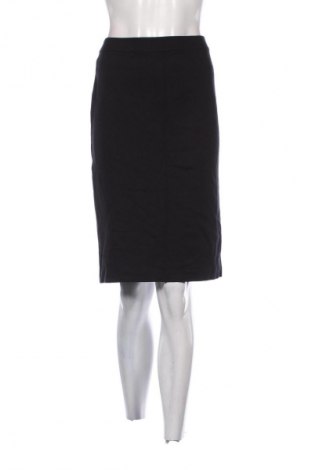 Sukňa Armani Collezioni, Veľkosť L, Farba Modrá, Cena  162,42 €