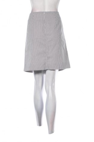 Φούστα Grace, Μέγεθος XL, Χρώμα Πολύχρωμο, Τιμή 8,99 €